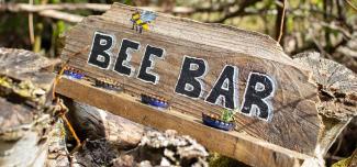 Bee Bar