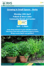 Flyer for Growing in Small Spaces - Herbs